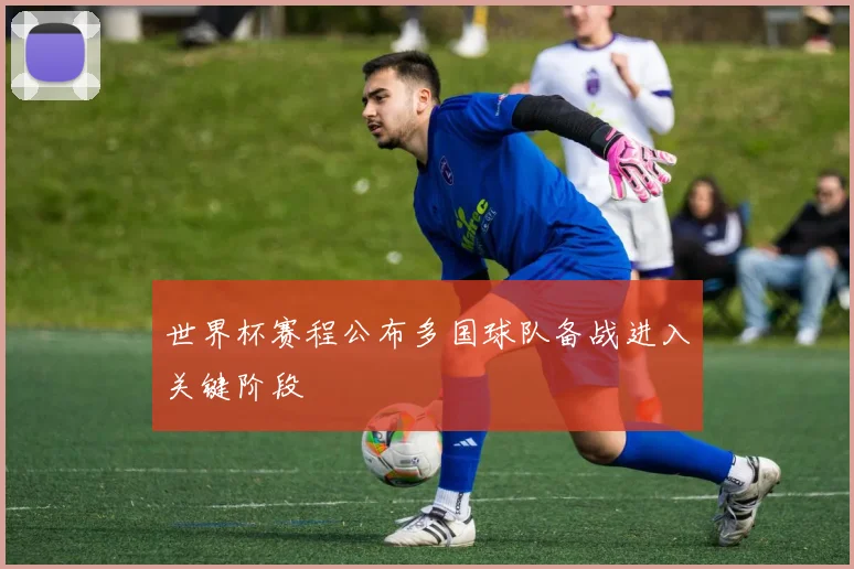 世界杯赛程公布多国球队备战进入关键阶段