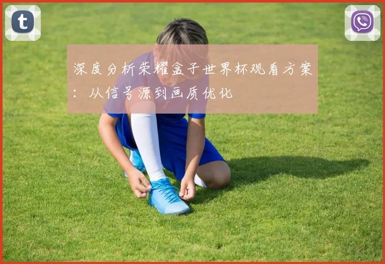 深度分析荣耀盒子世界杯观看方案：从信号源到画质优化