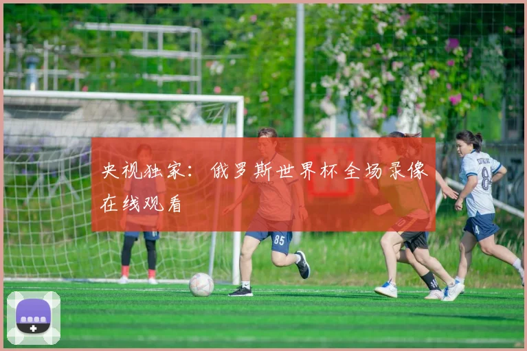 央视独家：俄罗斯世界杯全场录像在线观看