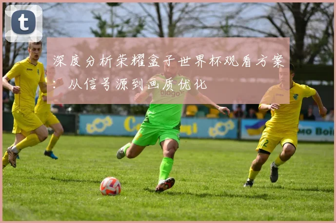 深度分析荣耀盒子世界杯观看方案：从信号源到画质优化