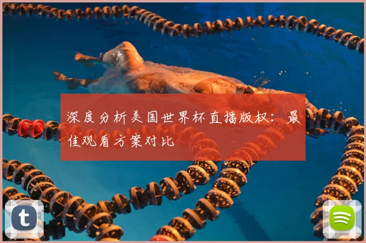 深度分析美国世界杯直播版权：最佳观看方案对比